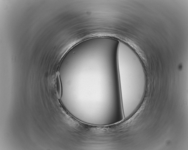 X0000091221185200708091131