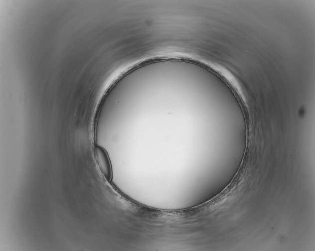 X0000091221191200708091131