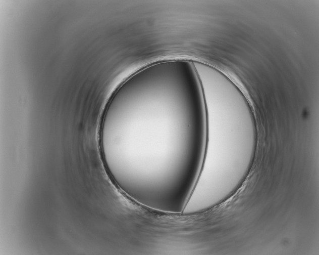 X0000091221197200708091130