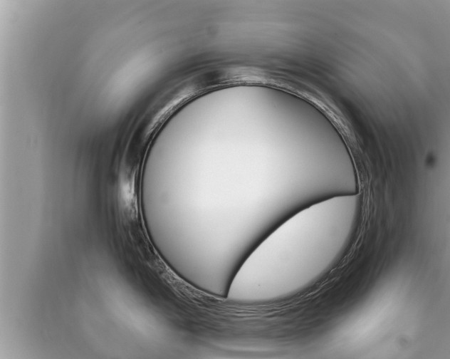 X0000091221198200708091130