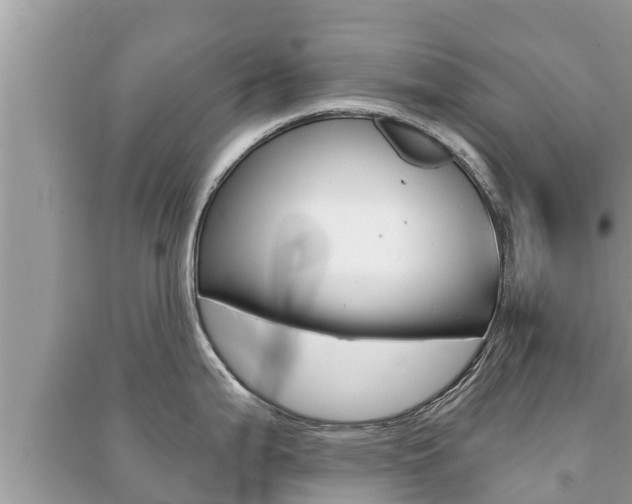 X0000091221199200708091130