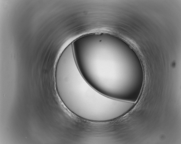 X0000091221200200708091130