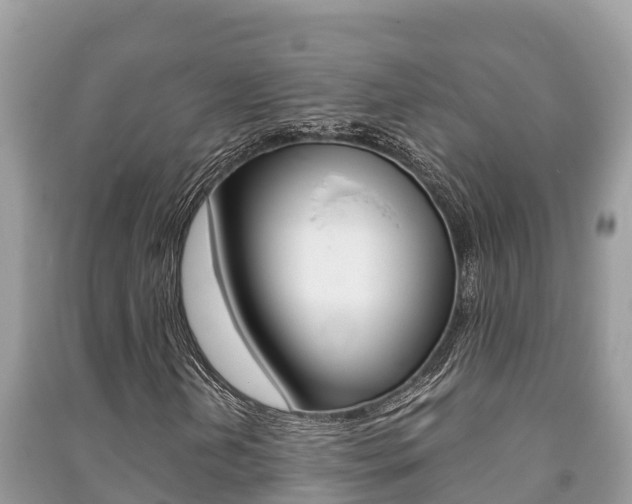 X0000091221202200708091130