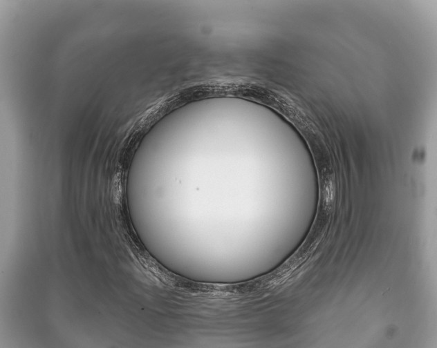 X0000091221204200708091130