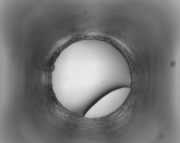 X0000091221207200708091130