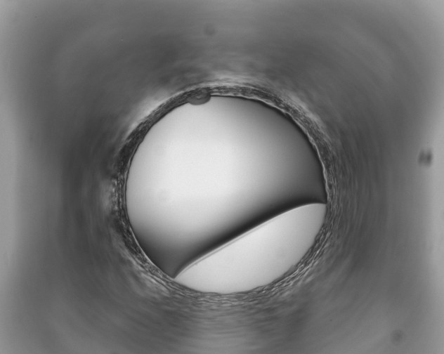 X0000091221208200708091130