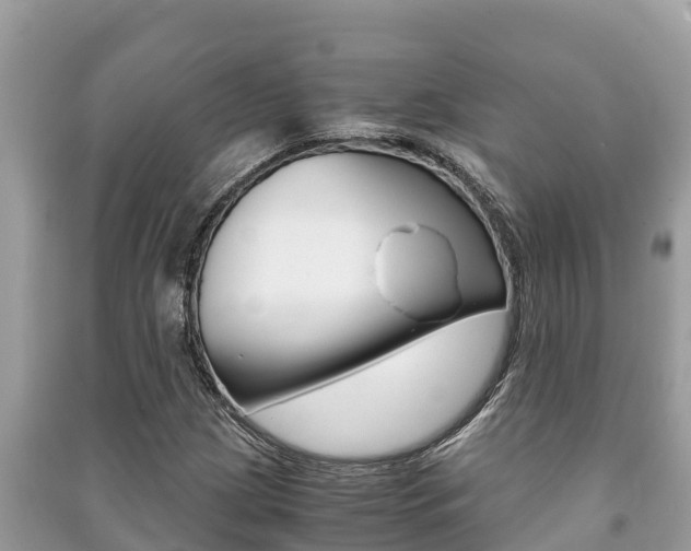 X0000091221209200708091130