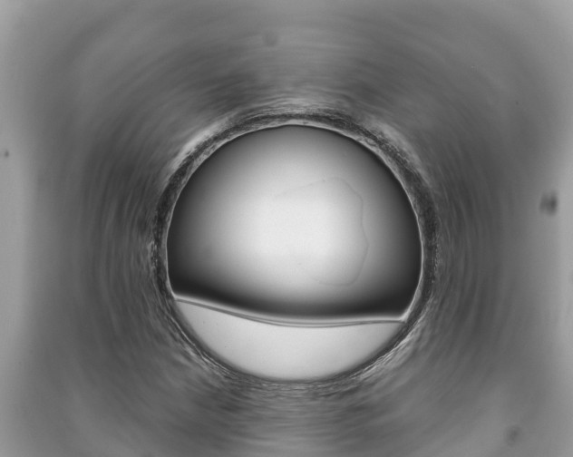 X0000091221210200708091130