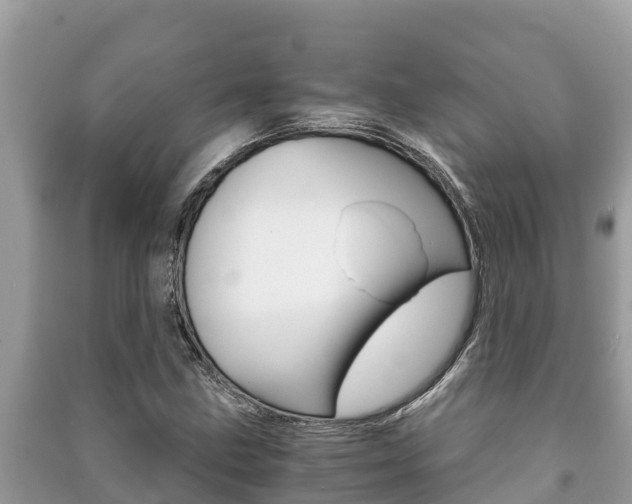 X0000091221211200708091130