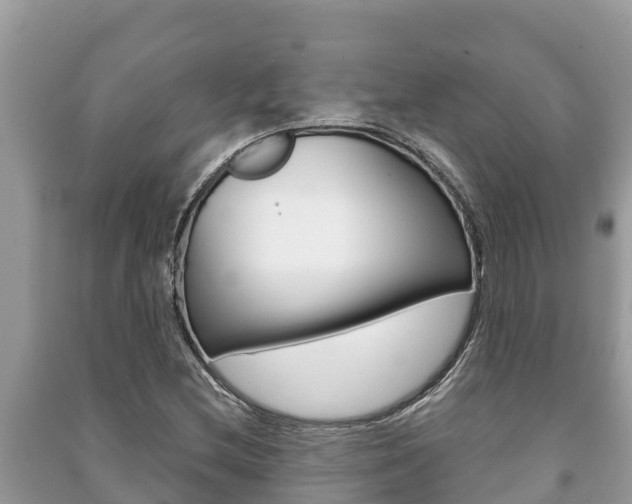 X0000091221212200708091130
