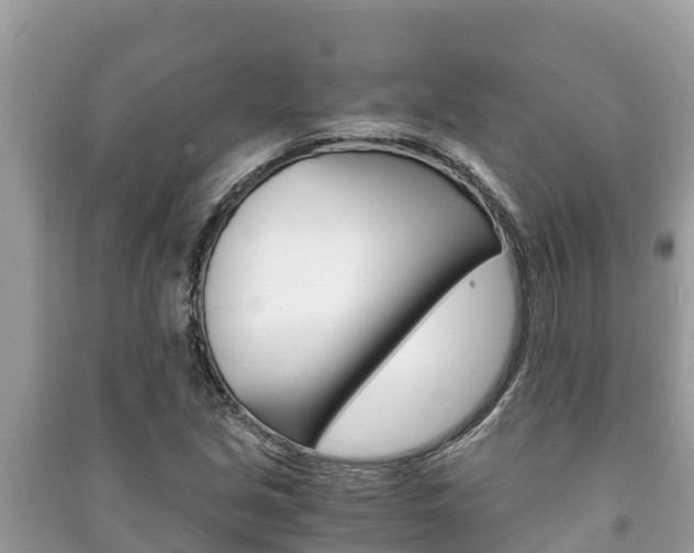 X0000091221213200708091130