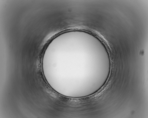 X0000091221215200708091130