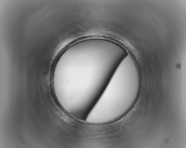 X0000091221216200708091130