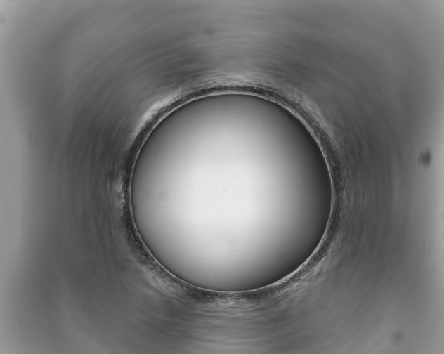 X0000091221218200708091130