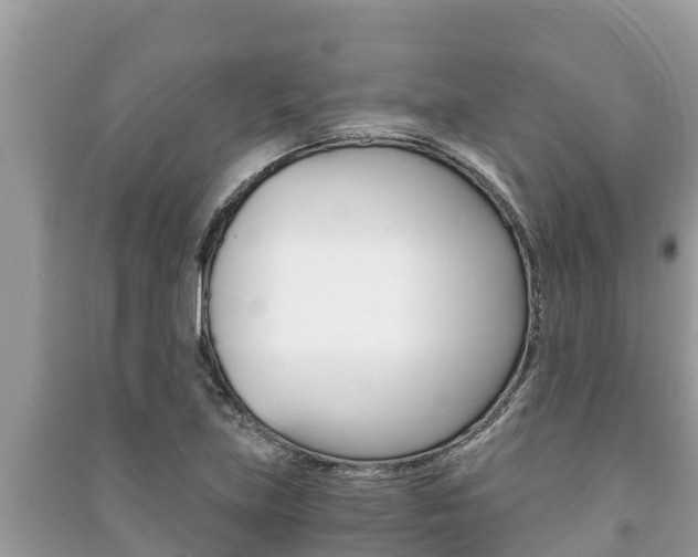 X0000091221219200708091130