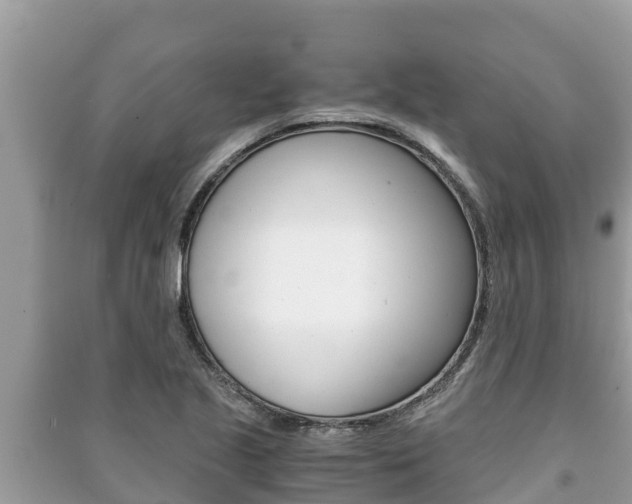 X0000091221221200708091130
