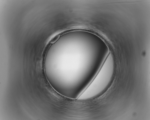 X0000091221222200708091130