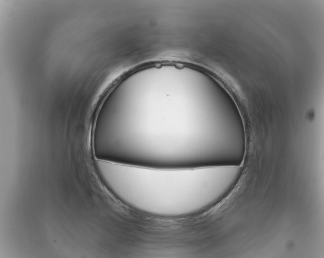 X0000091221224200708091130