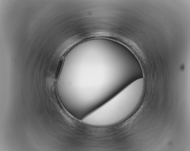 X0000091221225200708091130