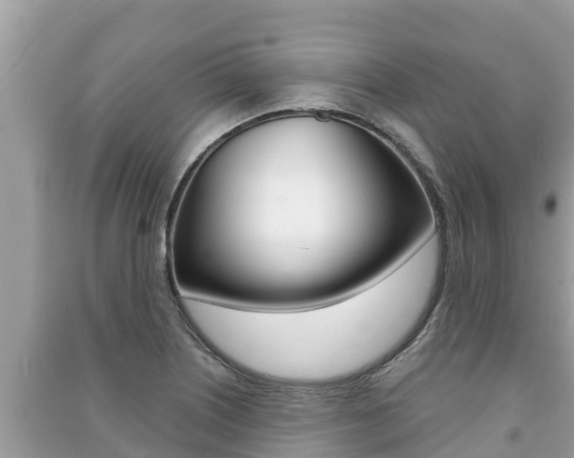 X0000091221226200708091130