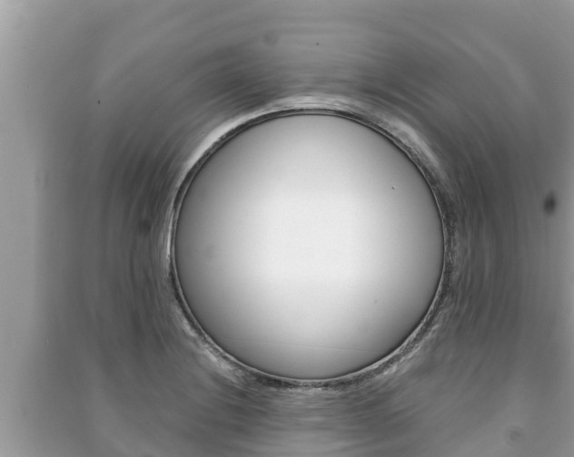 X0000091221228200708091130