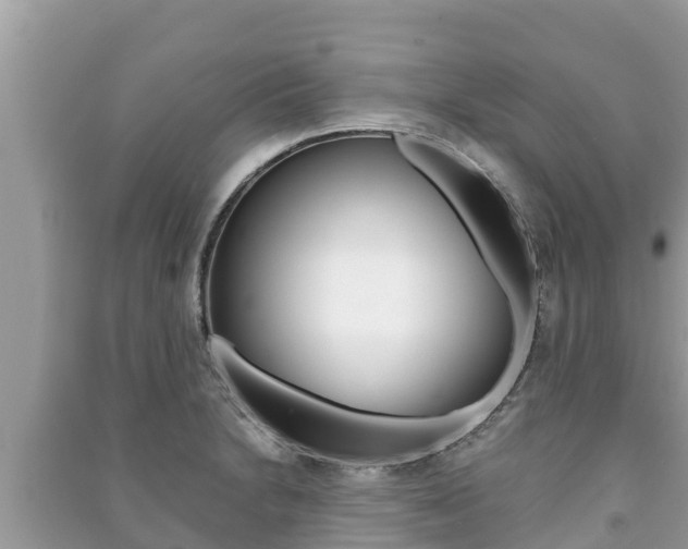 X0000091221230200708091130