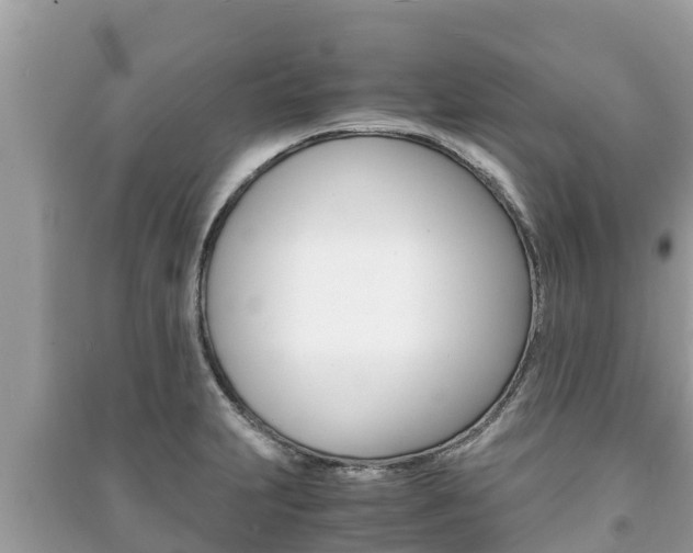 X0000091221231200708091130