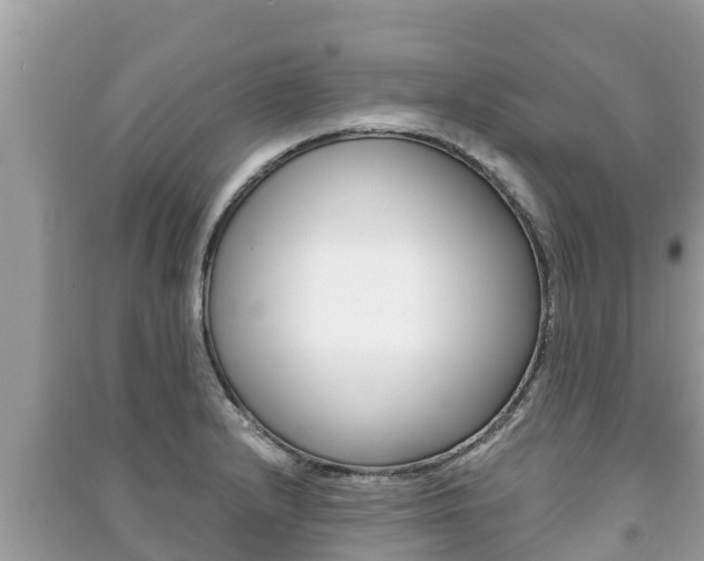 X0000091221232200708091130