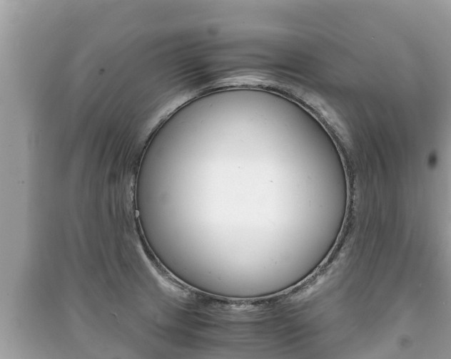 X0000091221233200708091130