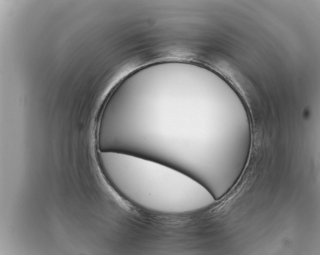 X0000091221235200708091130