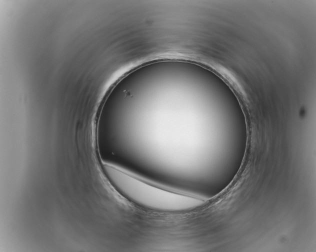 X0000091221238200708091130