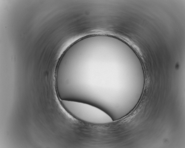 X0000091221239200708091130
