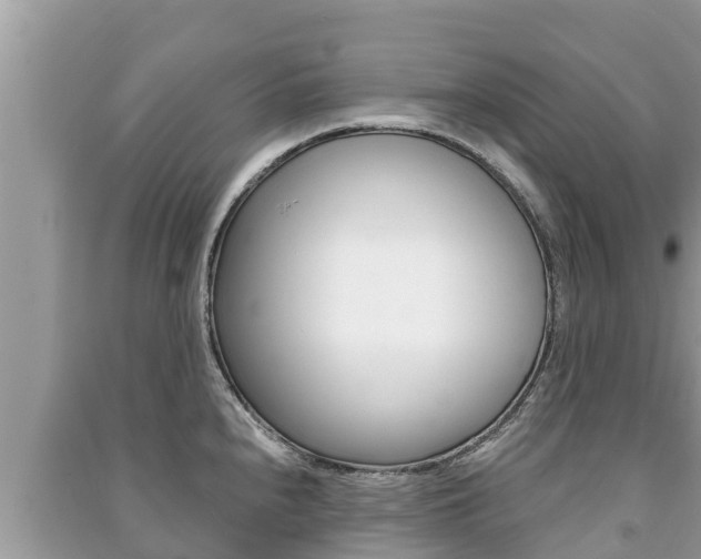 X0000091221240200708091130