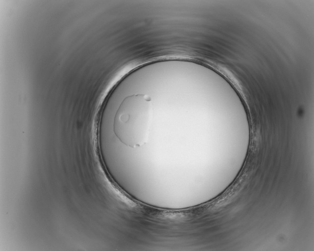 X0000091221243200708091130