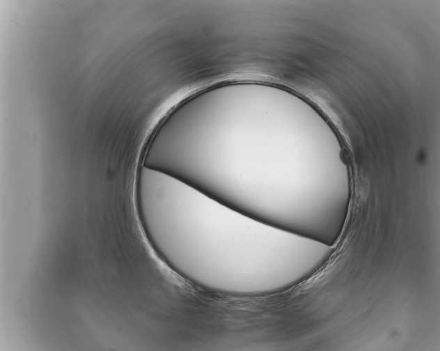 X0000091221245200708091130