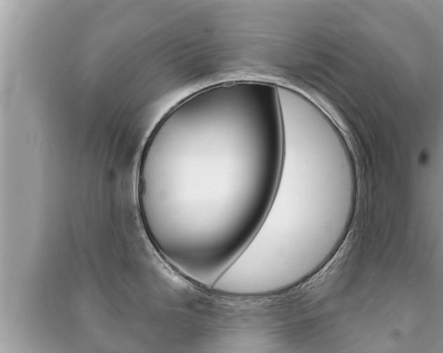 X0000091221246200708091130