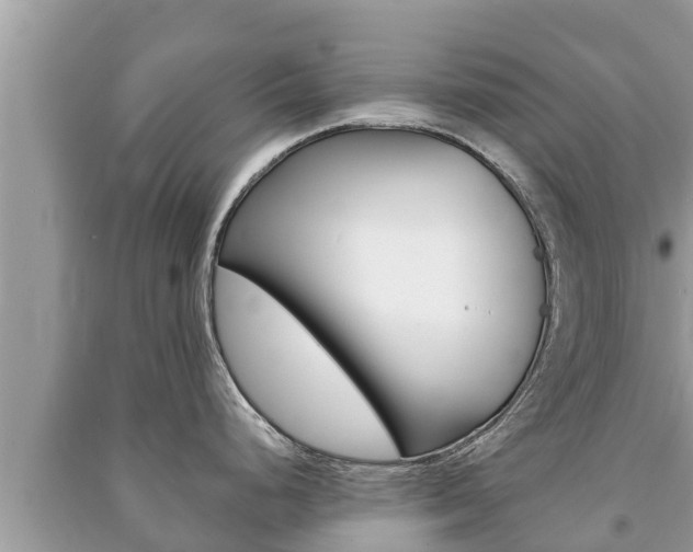 X0000091221248200708091130