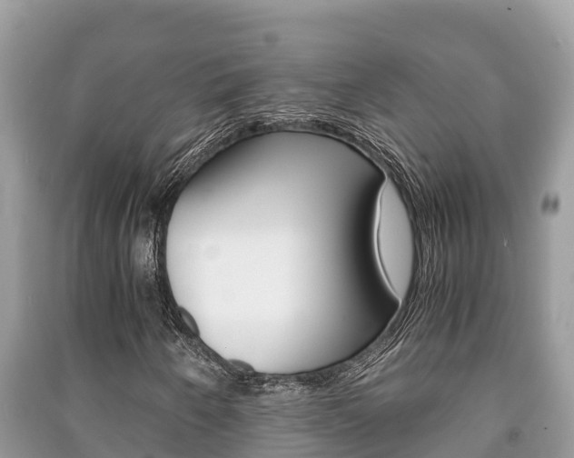 X0000091221250200708091130