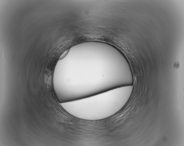 X0000091221251200708091130