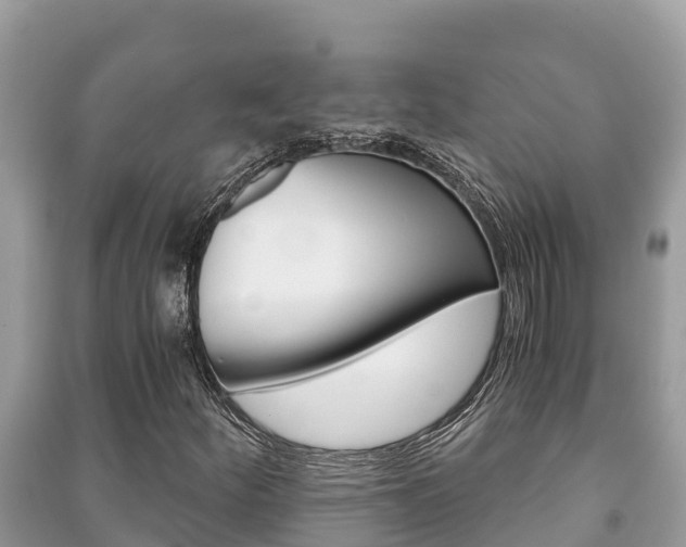 X0000091221252200708091130