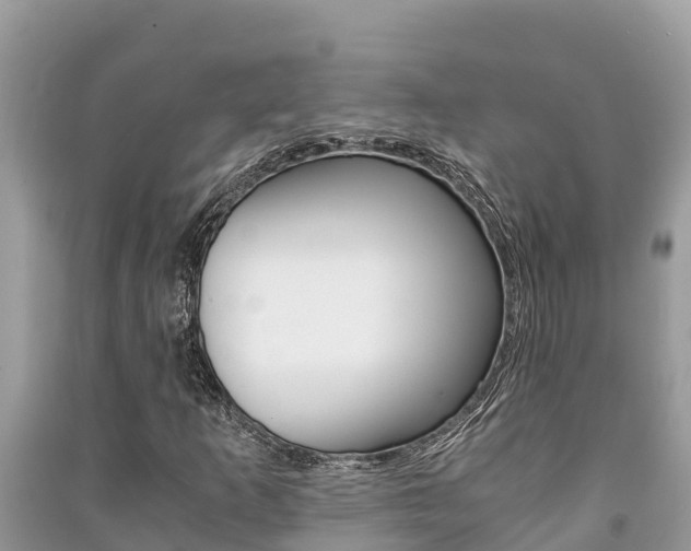 X0000091221253200708091130