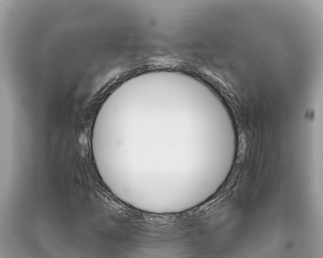 X0000091221254200708091130