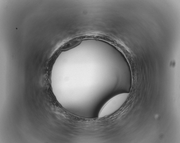 X0000091221256200708091130