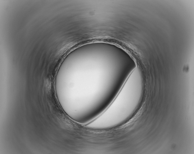 X0000091221257200708091130