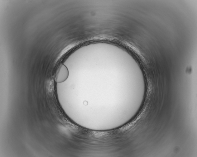 X0000091221258200708091130