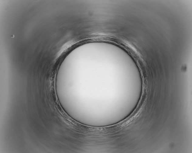 X0000091221259200708091130