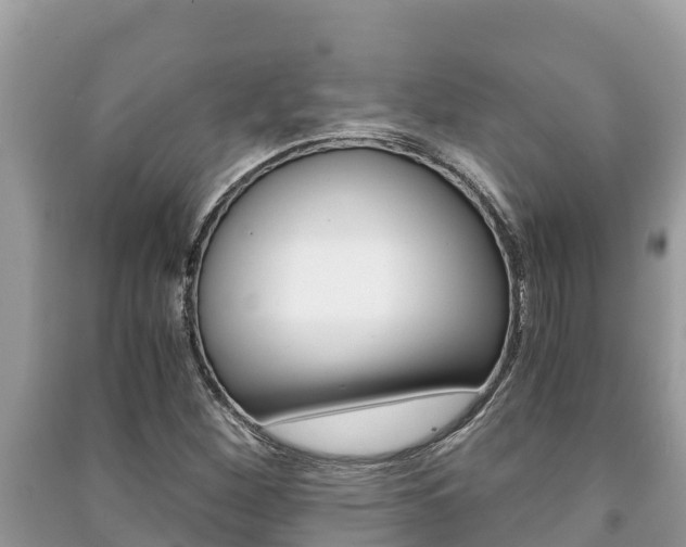 X0000091221260200708091130