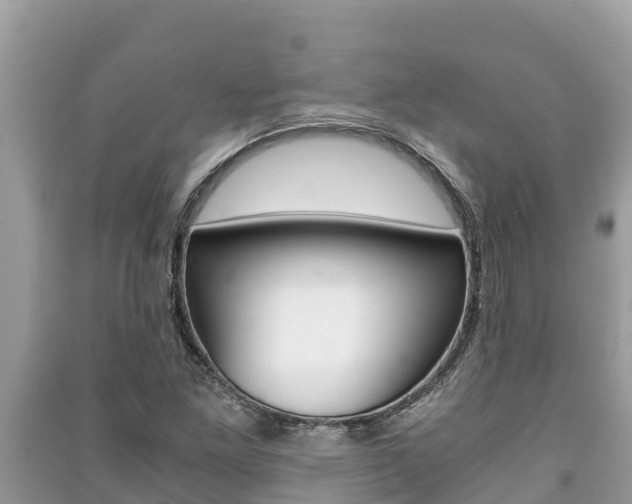X0000091221261200708091129