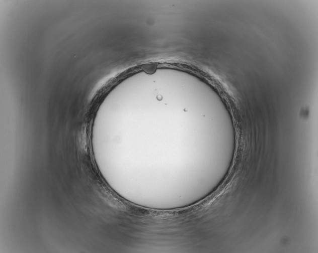 X0000091221262200708091129