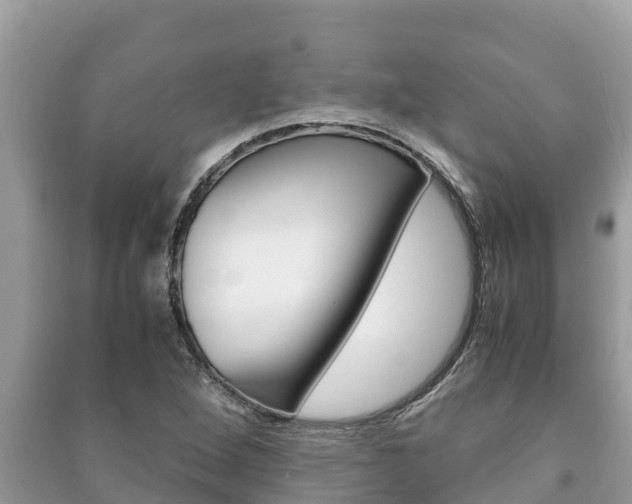 X0000091221264200708091129
